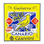 Encordoamento-Inox-para-Guitarra---Giannini