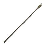 CANE-098