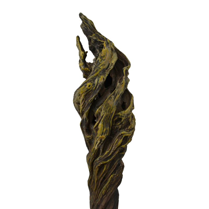 CANE-098_2
