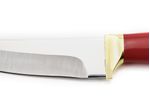 IC-55-AV--4-
