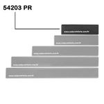 54203-PR_2
