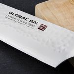 GSAI-01_3