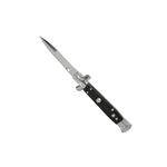 ABS-011-PR_2